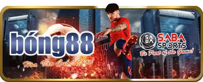 Chương trình hoàn trả cược hấp dẫn từ vibet88